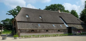 DuinscheHoevedesw1